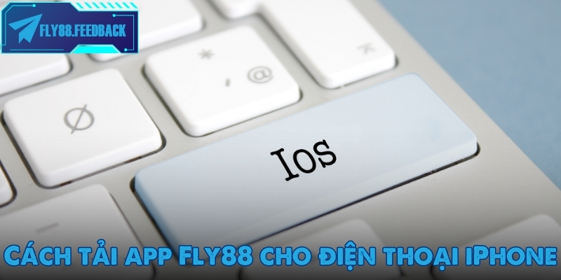Hướng dẫn tân binh tải app Fly88 cho điện thoại iPhone (iOS)