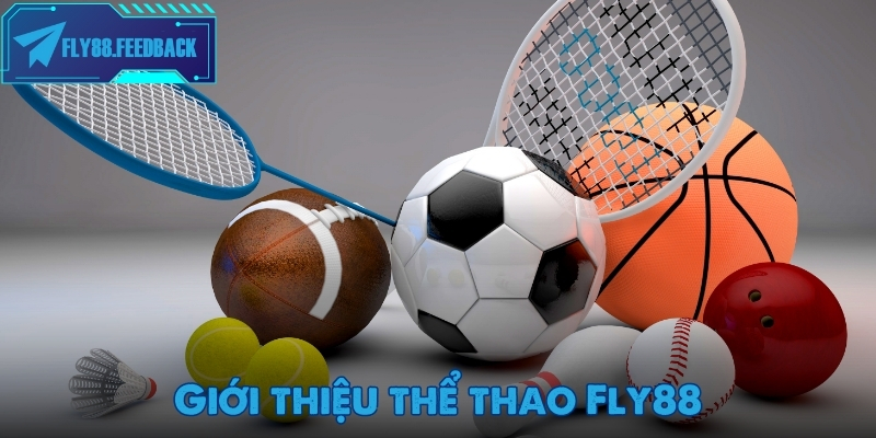 Giới thiệu sảnh thể thao Fly88 hot nhất 2025