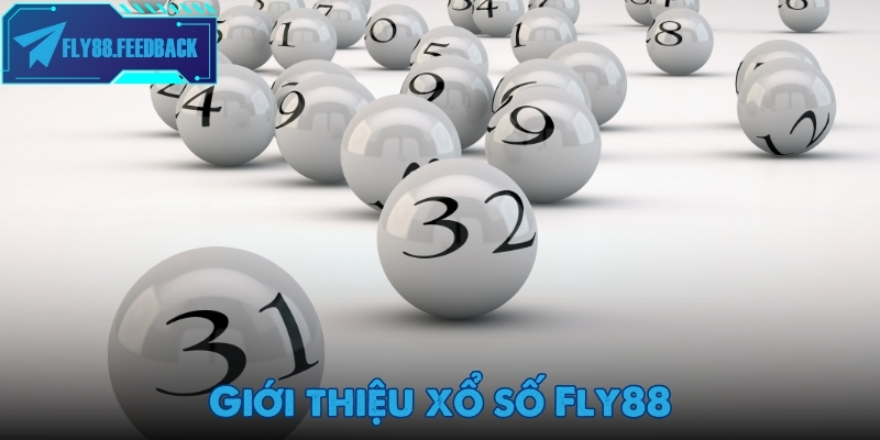 Giới thiệu xổ số Fly88 cho tân binh cá cược đổi thưởng